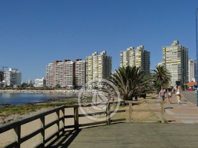 Punta del Este