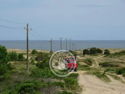 Cabo Polonio - Localidad