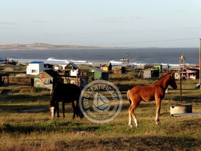 Paseos y Actividades Cabo Polonio Cabo Polonio