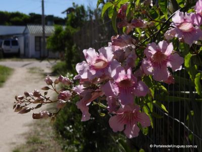 Paseos y Actividades Aguas Dulces Aguas Dulces
