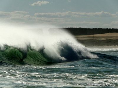 Playa Sur, Olas y surf en Cabo Polonio