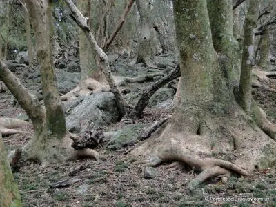 Lavalleja - Localidades