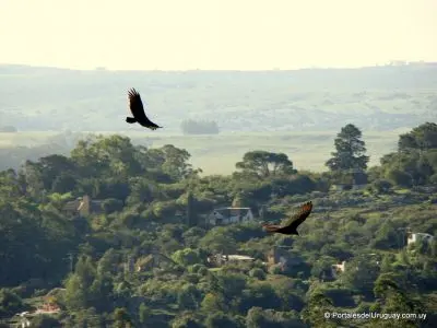 Lavalleja - Localidades