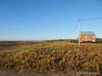Punta Negra - Localidades