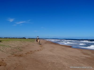 Cabalgatas en Punta Negra