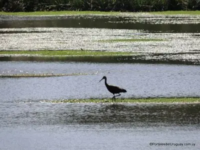Punta Negra - Localidades