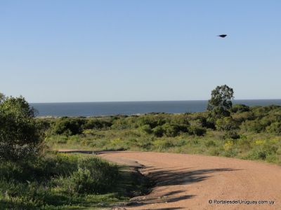 Las calles de Punta Negra