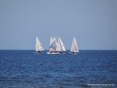 Veleros en Piriápolis
