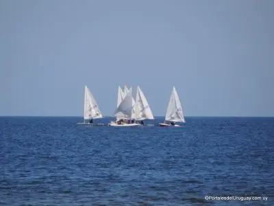 Veleros en Piriápolis