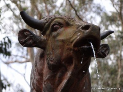 Cerro del Toro - Piriápolis