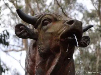 Cerro del Toro - Piriápolis