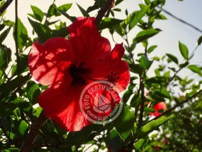 Complejo Oasis del Sol Punta del Diablo