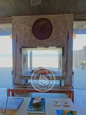 Casa Pindó Punta del Diablo