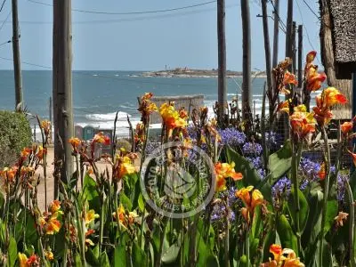 Cabaña Las Pirañas Punta del Diablo
