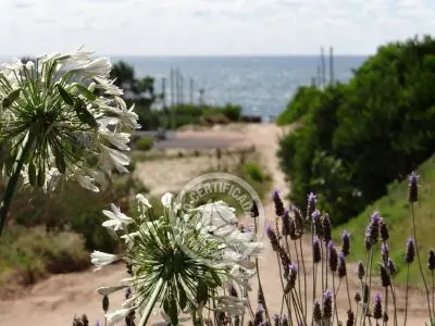 Casa Summertime  Punta del Diablo