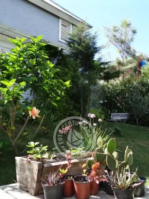 Casa Summertime  Punta del Diablo