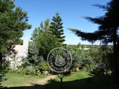 Casa Summertime  Punta del Diablo