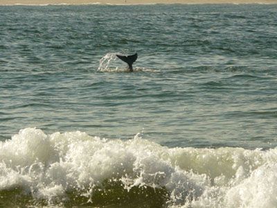 Casa Nativos - Casa Punta del Diablo