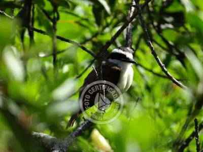 Casa Nativos - Casa Punta del Diablo