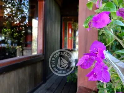 Casa Nativos - Casa Punta del Diablo