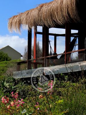 Casa Nativos - Casa Punta del Diablo