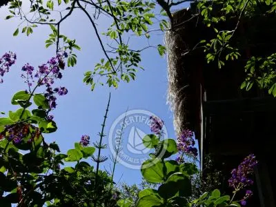 Casa Nativos - Casa Punta del Diablo