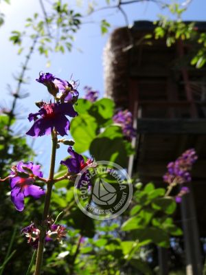 Casa Nativos - Casa Punta del Diablo
