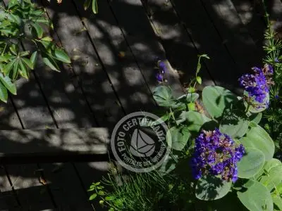 Casa Nativos - Casa Punta del Diablo