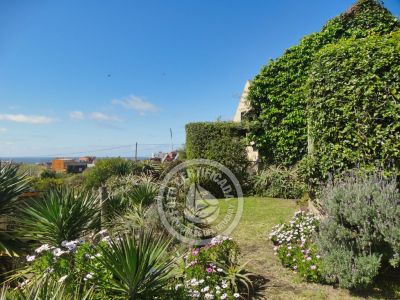 Complexo Bien al este Punta del Diablo