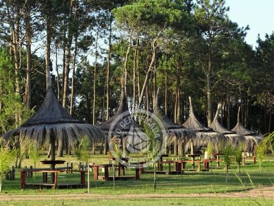 Camping Camping Punta del Diablo Punta del Diablo