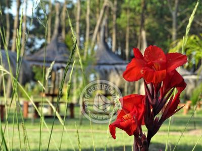 Camping Camping Punta del Diablo Punta del Diablo