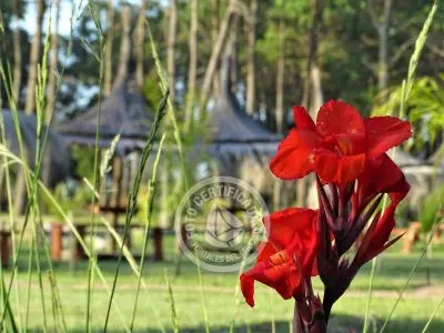Camping Camping Punta del Diablo Punta del Diablo