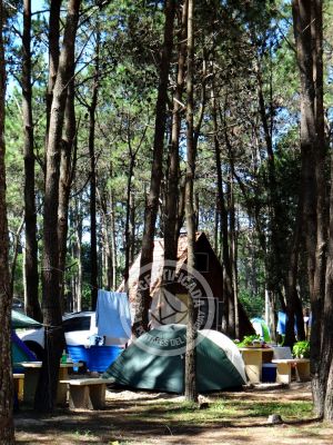 Camping Camping Punta del Diablo Punta del Diablo