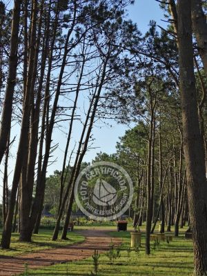 Camping Camping Punta del Diablo Punta del Diablo