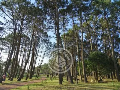 Camping Camping Punta del Diablo Punta del Diablo
