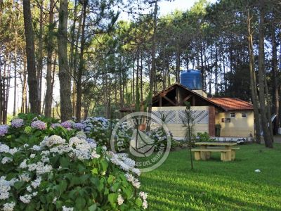 Camping Camping Punta del Diablo Punta del Diablo