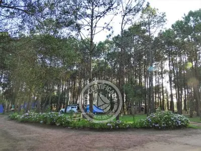 Camping Camping Punta del Diablo Punta del Diablo