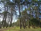 Camping Camping Punta del Diablo Punta del Diablo
