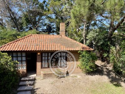 House Araucaria Punta del Diablo