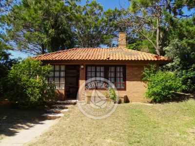 Casa Araucaria Punta del Diablo