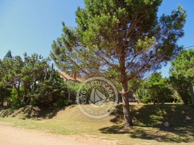 Casa Araucaria Punta del Diablo