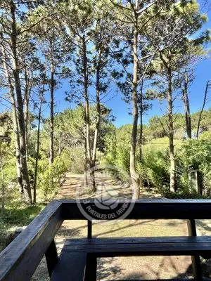 Cabaña En el bosque 1 Punta del Diablo