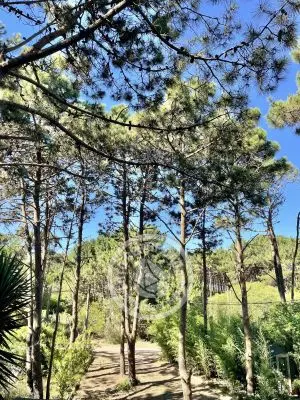 Cabaña En el bosque 1 Punta del Diablo