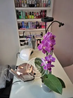 Complexo Punta Palmar Punta del Diablo