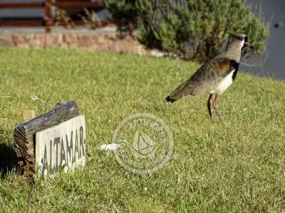 Casa Altamar. Punta del Diablo