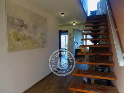 Perro del Mar - Punta del Diablo