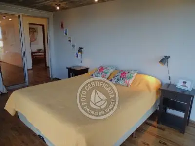 Perro del Mar - Punta del Diablo