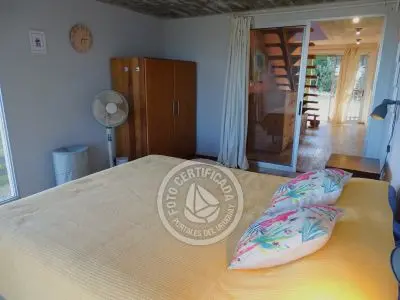 Perro del Mar - Punta del Diablo