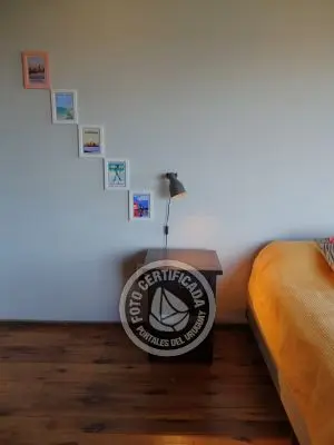 Perro del Mar - Punta del Diablo