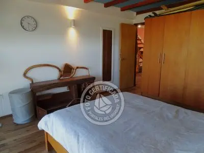 Perro del Mar - Punta del Diablo